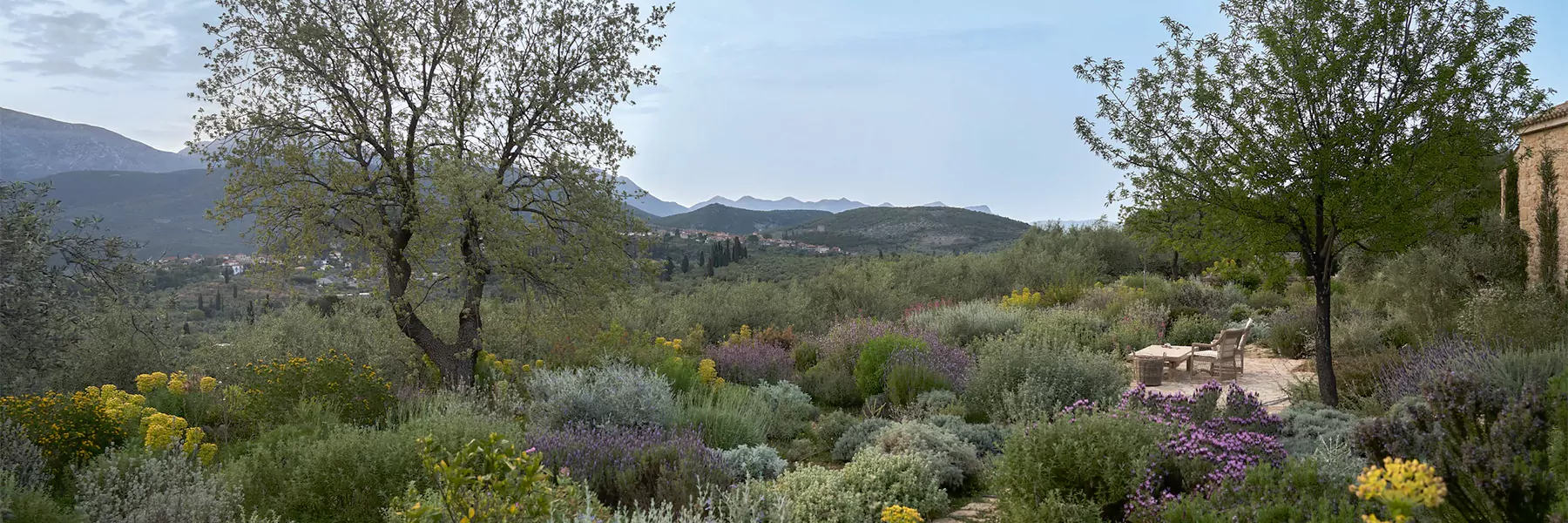 the olive trees of Chatsworth (with houses foregrounded); or maybe houses/apartments with Universal Studios nearby