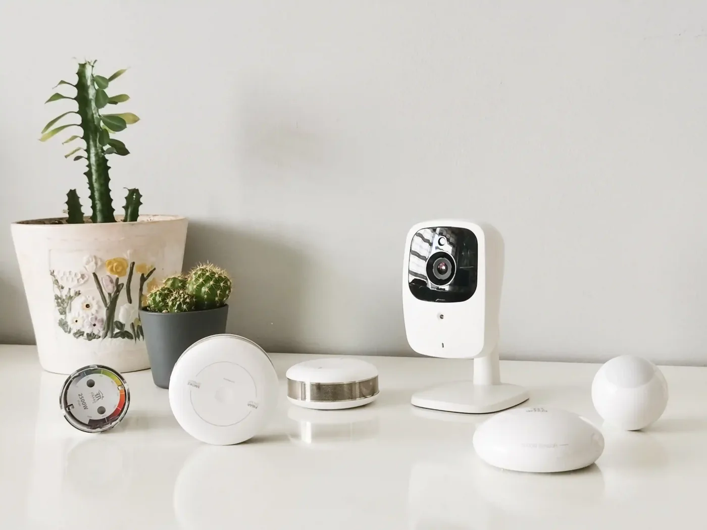Indoor plants and smart home devices on a table.